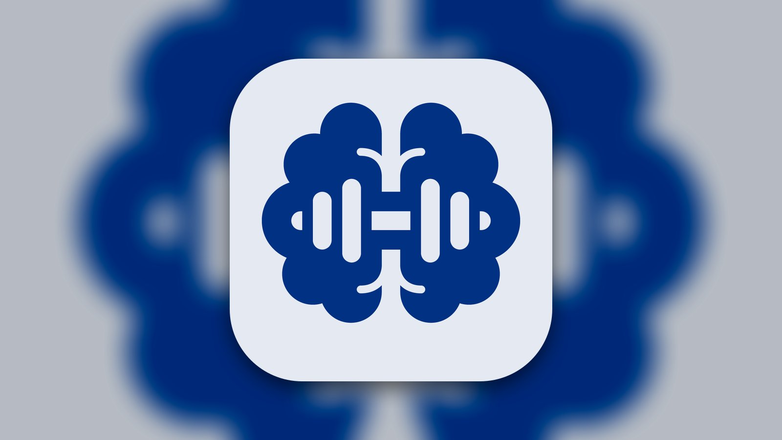 Anatomy Gym - Application Jeux | MWM
