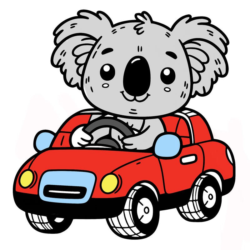 koala in a car