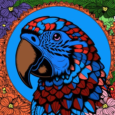 realistic parrot mandala