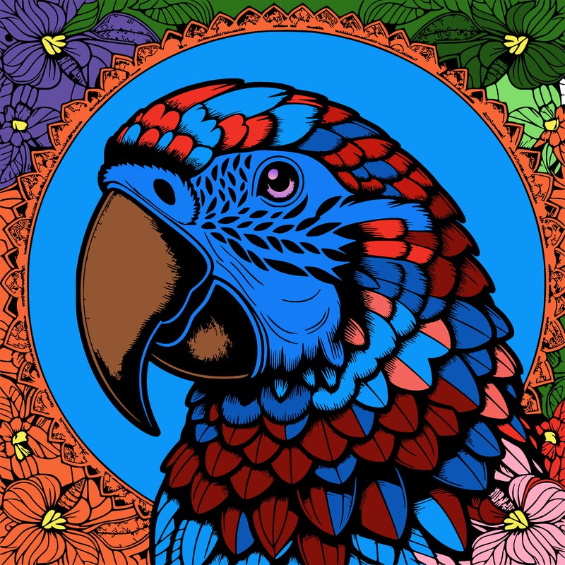 realistic parrot mandala