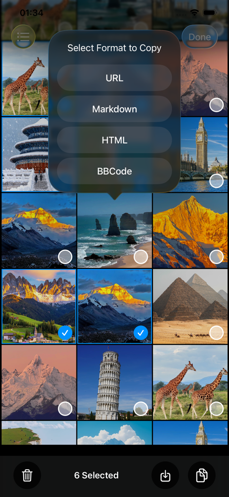 PicLink-Best image Hosting App - PicLink app screen for selecting image link formats like Markdown and HTML