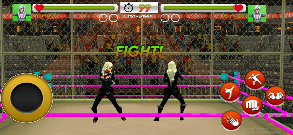 Spider Hero Fighting Games - Two female heroes named B Cat facing off in a fighting arena with on screen mobile controls