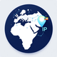 IP Domain Flag Info