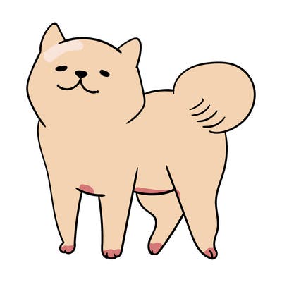 animals_29