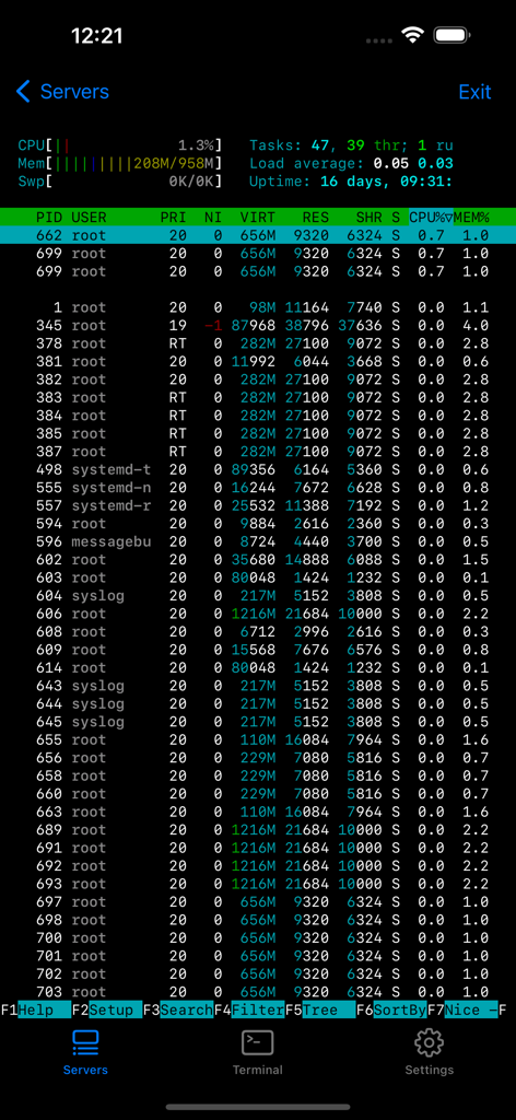 Terminal interface showing server process monitoring and system stats