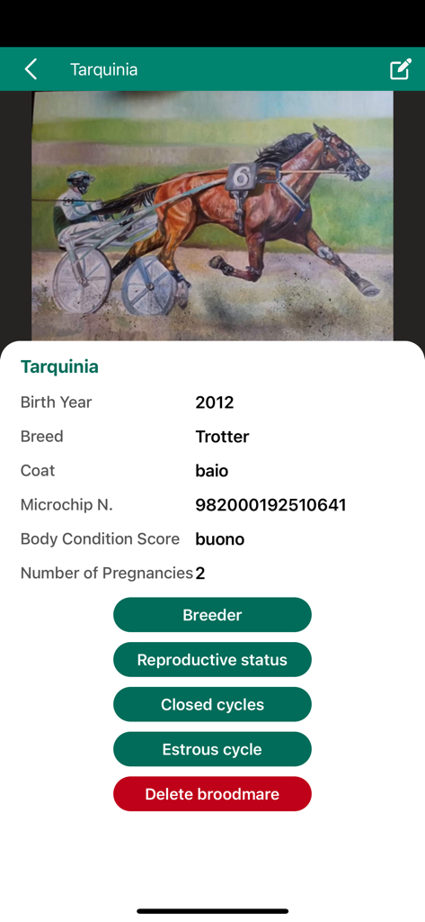 EquiBreedVet - A detailed broodmare profile in the EquiBreedVet app displaying birth year breed microchip number and reproductive management buttons