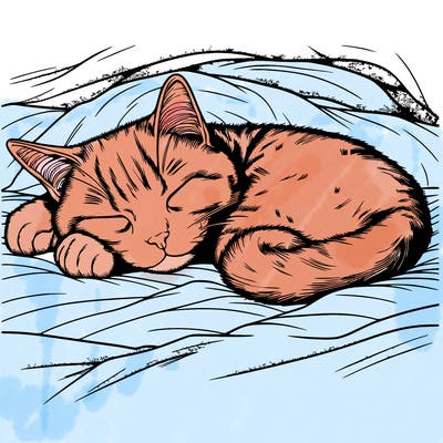 realistic cat napping