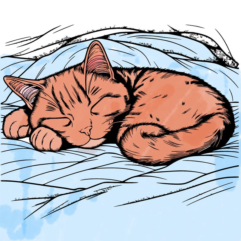 realistic cat napping