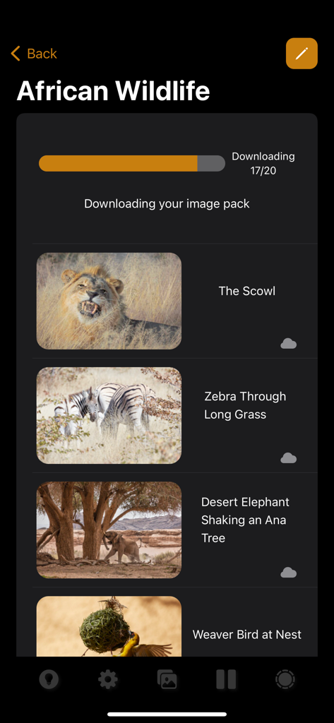 PhotoClock Pro - Interface of PhotoClock Pro showing the African Wildlife image pack downloading with preview thumbnails of a lion, zebras, and an elephant.