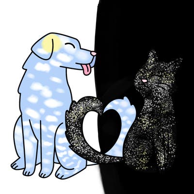 animals_22