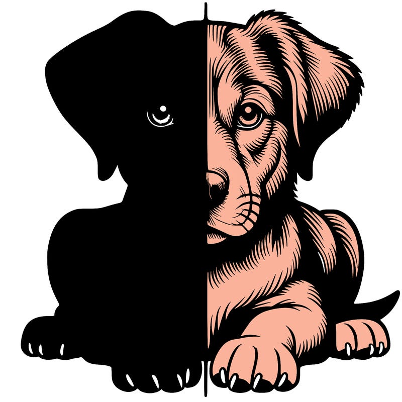 realistic dog split picture