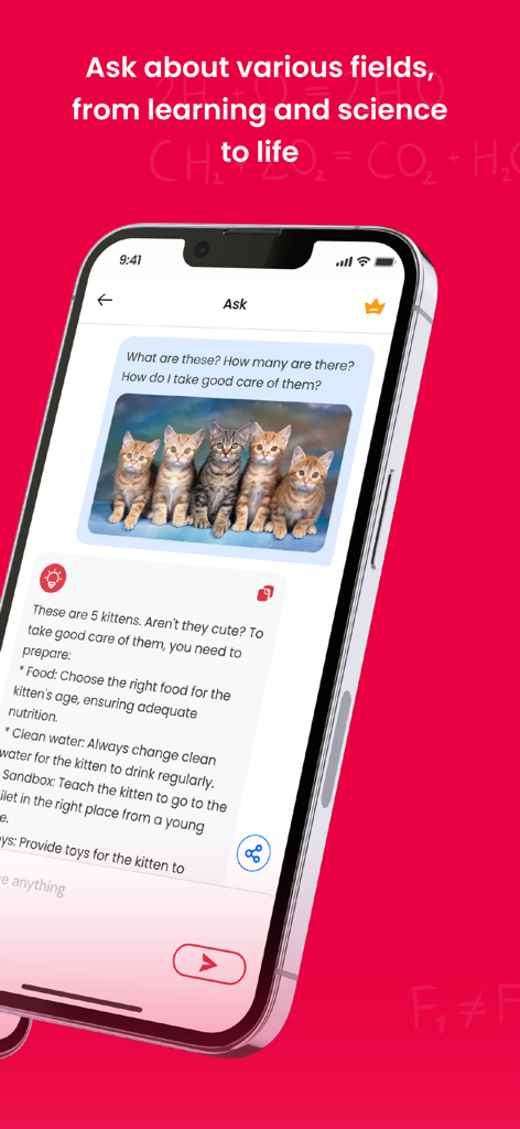 Math.AI - Math Solver - Math.AI app interface showing the Ask feature answering questions about kittens with detailed care instructions