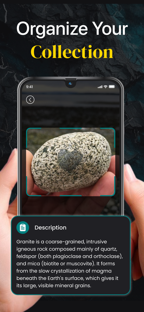 Mobile app interface showing a granite rock being identified with a detailed geological description and the headline Organize Your Collection.