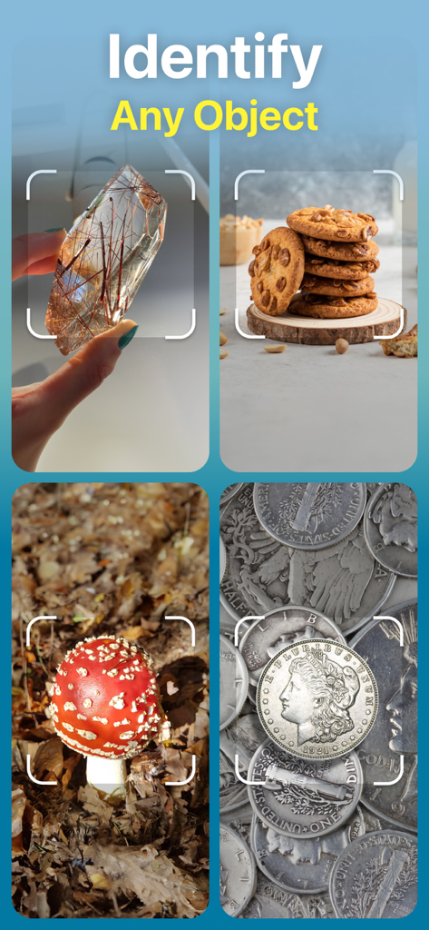 Identify Anything AI Scanner - Aplicación escáner IA identificando un cristal, galletas, una seta y monedas antiguas