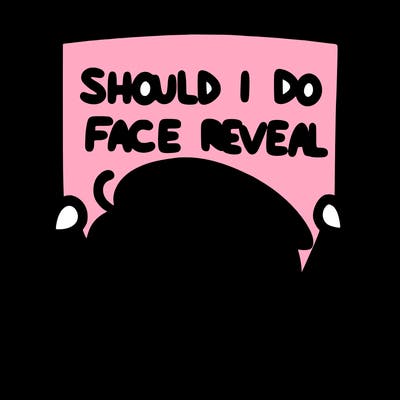 should i do a face reveal
