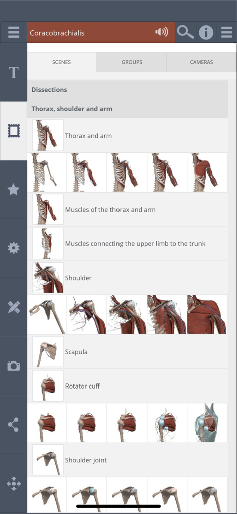 Primal's 3D Shoulder - Primal 3D Shoulder app interface showing anatomical scenes and dissection categories