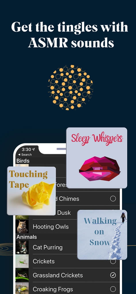 White Noise Deep Sleep Sounds - Weiße-Rauschen-ASMR-Schlafklänge-App mit ASMR-Kategorien wie 'Schlafflüstern' und 'Gehen im Schnee'.