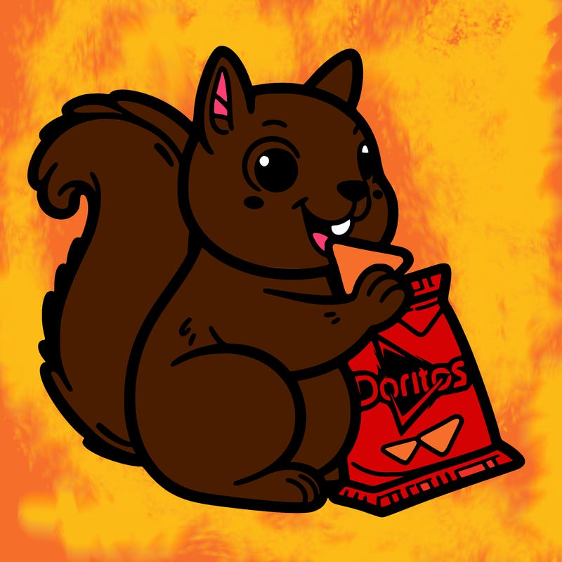 squirrel eating a bag of doritos