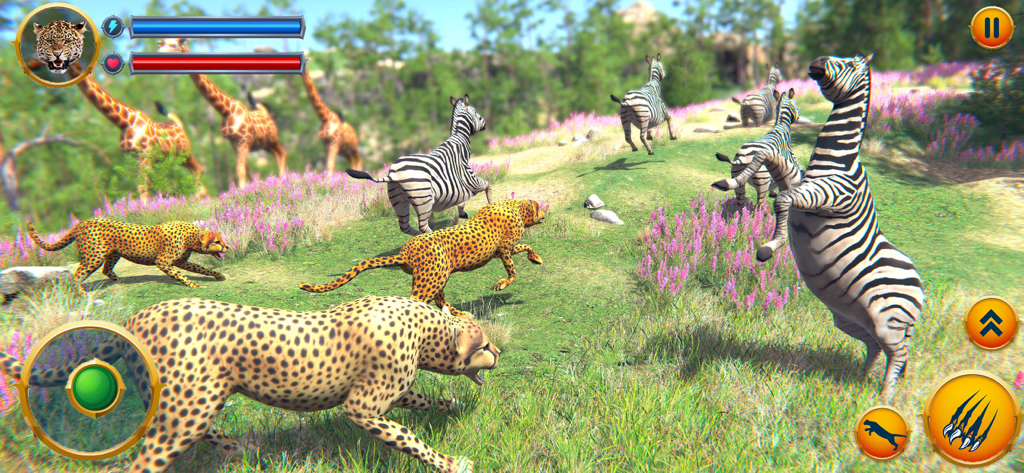 Wild Cheetah Family Simulator - Cheetah family chasing zebras in a safari simulation