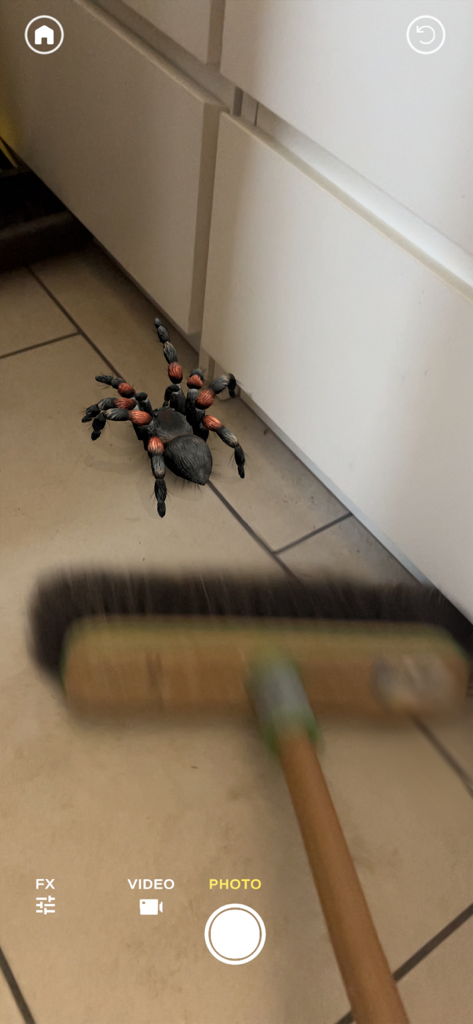 Eine realistische AR-Spinne auf einem gefliesten Boden, der von einem Besen weggefegt wird.