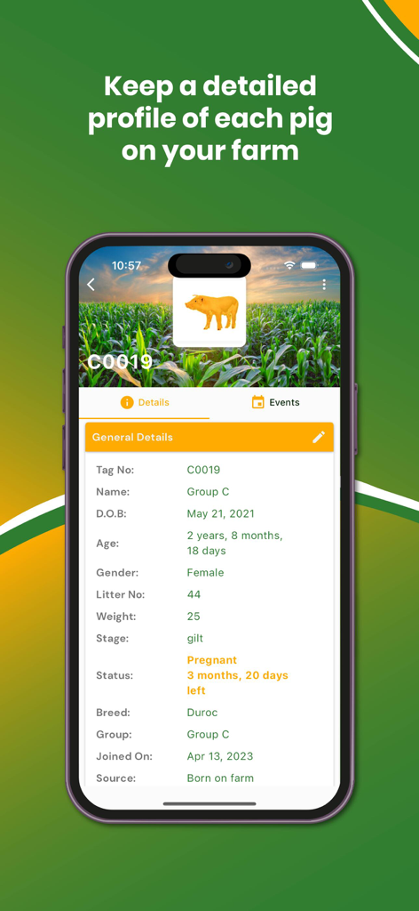My Piggery Manager - Farm app - Detailed profile of an individual pig in the My Piggery Manager app showing tag number breed age and pregnancy status