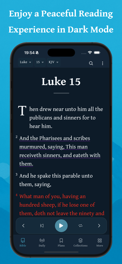 Daily Bible - Offline & Audio - Daily Bible app reading screen in dark mode showing Luke 15
