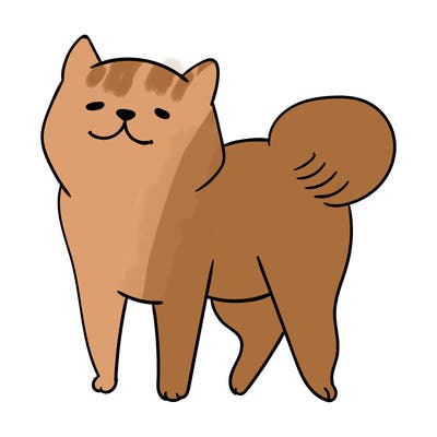 animals_29