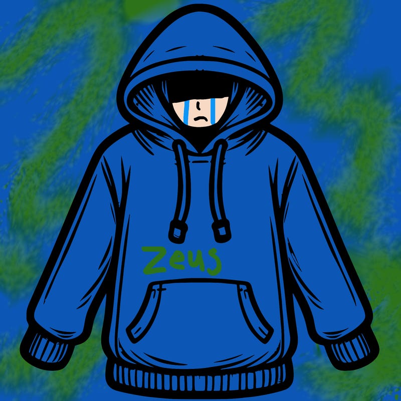 hoodie