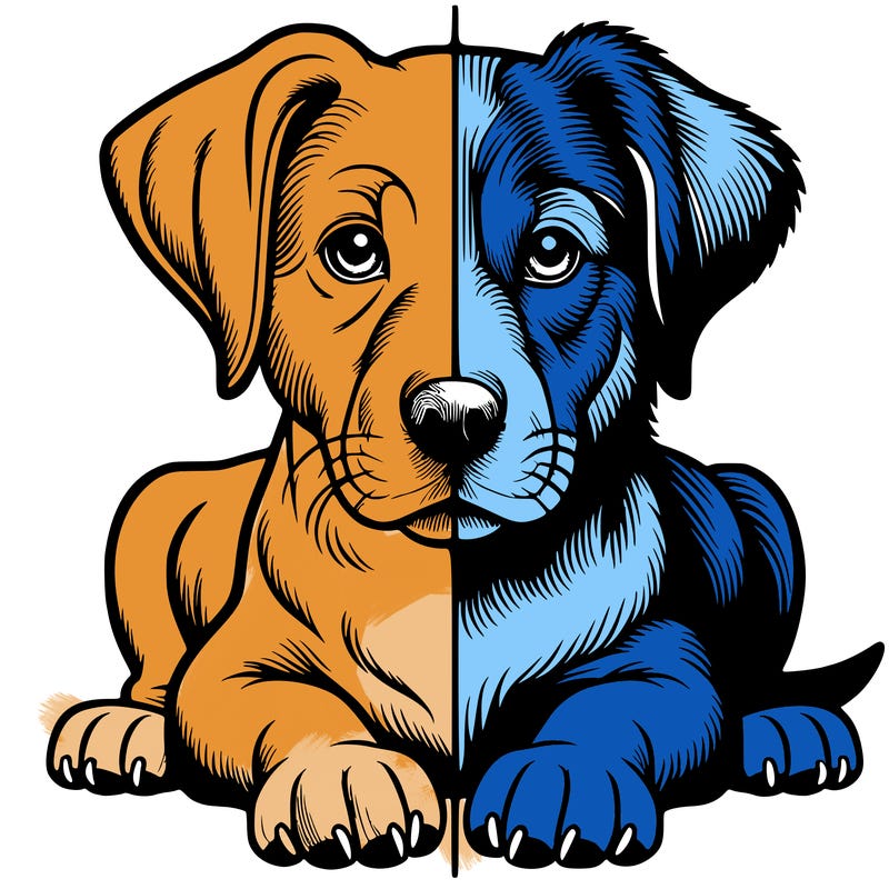 realistic dog split picture