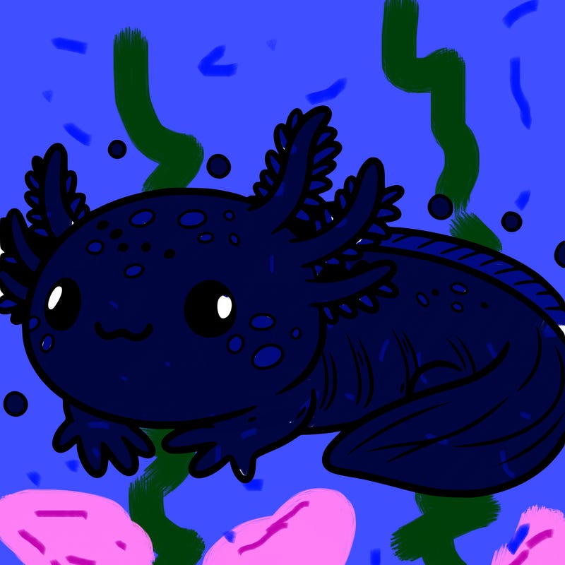 cute axolotl