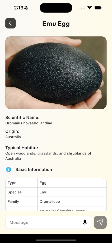 AI Bird Egg Identifier - App-Bildschirm mit detaillierter Identifizierung und Fakten für ein dunkles, strukturiertes Emu-Ei