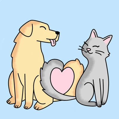 animals_22