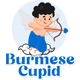 Burmese Cupid