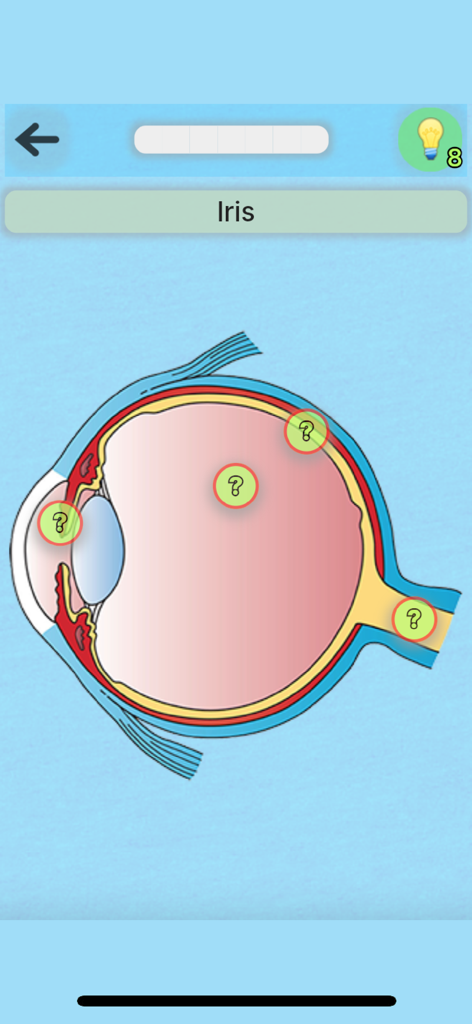 Anatomy Game - Interfaz de la aplicación Juego de Anatomía mostrando un diagrama interactivo del ojo humano para un cuestionario de identificación.