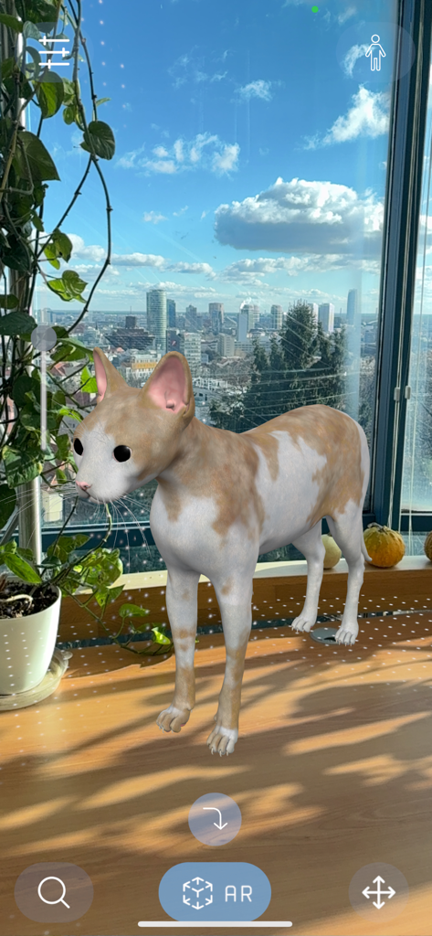 Animal Anatomy AR - Un modelo de gato 3D en realidad aumentada proyectado sobre una superficie de madera en una habitación usando la aplicación Animal Anatomy AR.