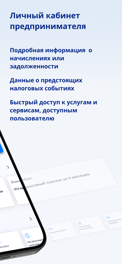 Dashboard of the Russian Federal Tax Service app for individual entrepreneurs featuring tax tracking and administrative services