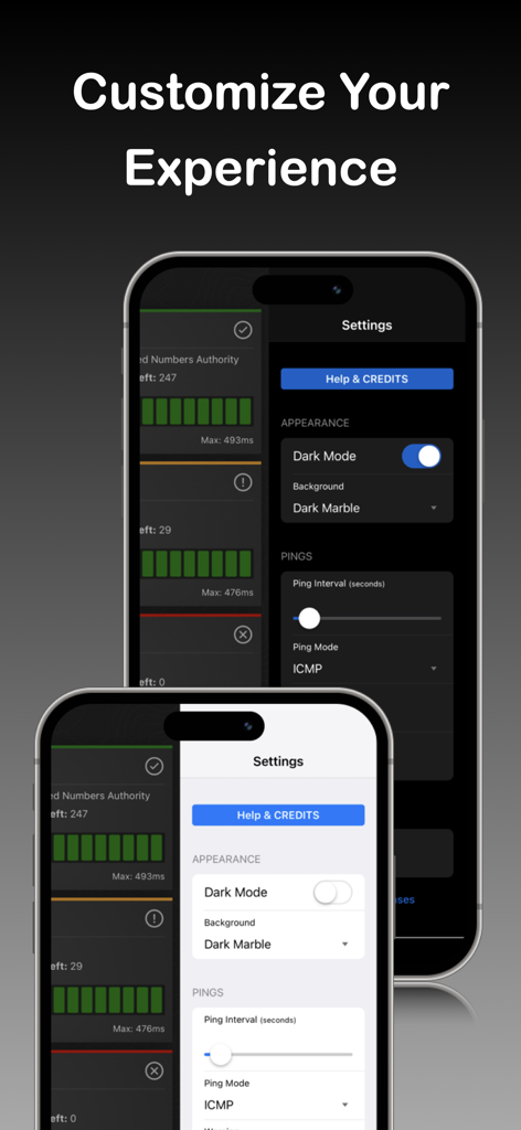 Écran des paramètres de l'application DNS Time montrant le mode sombre et les options d'intervalle de ping sur deux iPhones