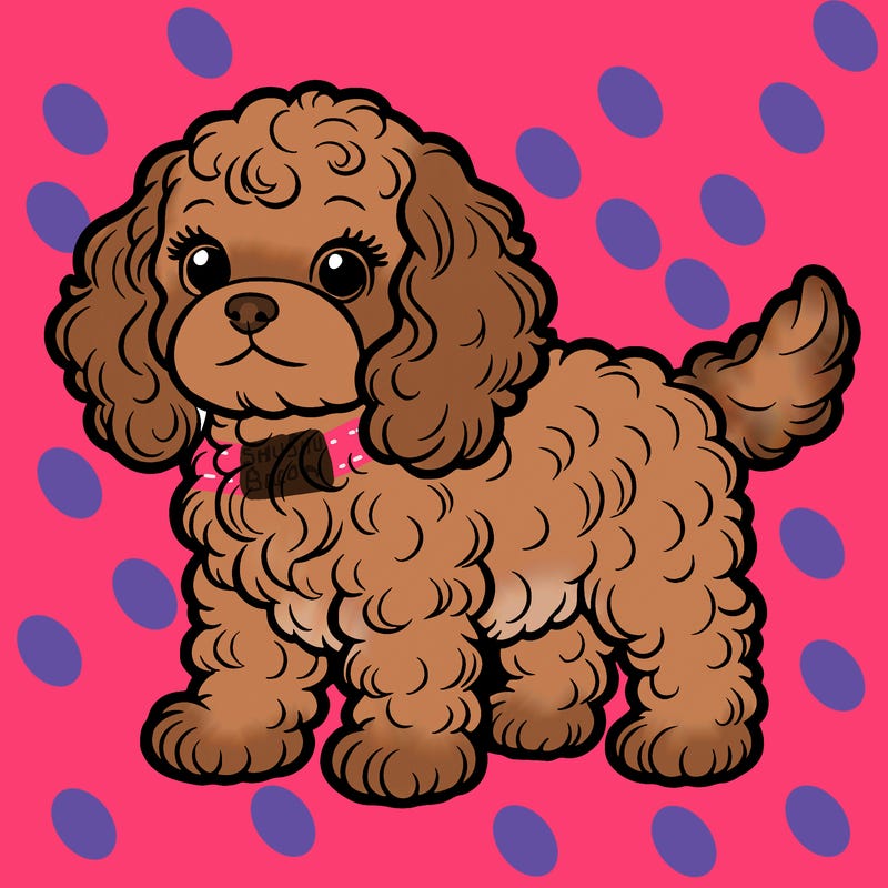 cavapoo