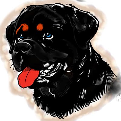 realistic rottweiler