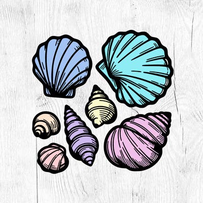 shells