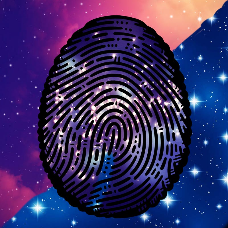 fingerprint