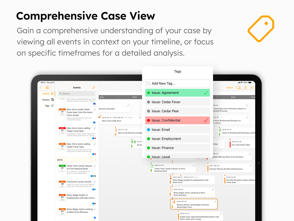 TimelinePad - Create Timelines - TimelinePad app interface on iPad showing a comprehensive case view with an interactive timeline and event tags menu for legal professionals.