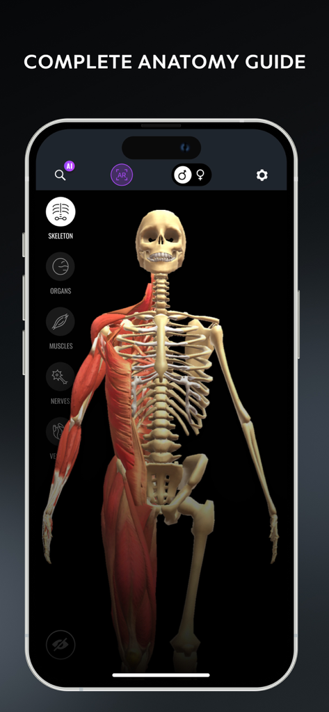 Human Body Atlas: 3D Medical - Modelo humano en 3D que muestra los sistemas esquelético y muscular en una aplicación de anatomía médica