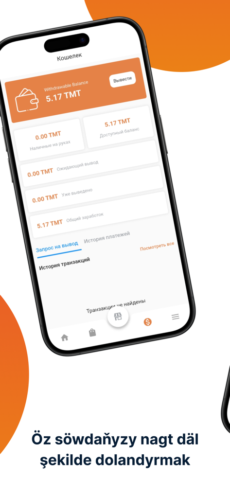 Ynamly Biz Store - Mobile app interface of Ynamly Biz Store showing the wallet screen with balance and earnings information