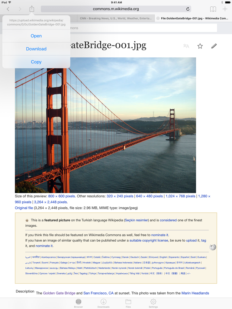 La interfaz del navegador web de Files HD Pro en iPad mostrando un menú de descarga de imágenes.