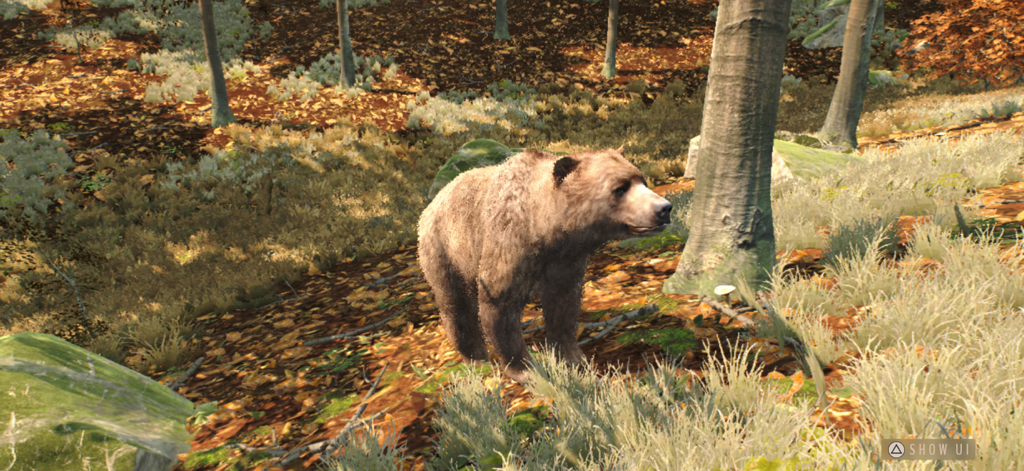 A realistic brown bear standing in a forest with autumn leaves in Way of the Hunter Wild Europe.