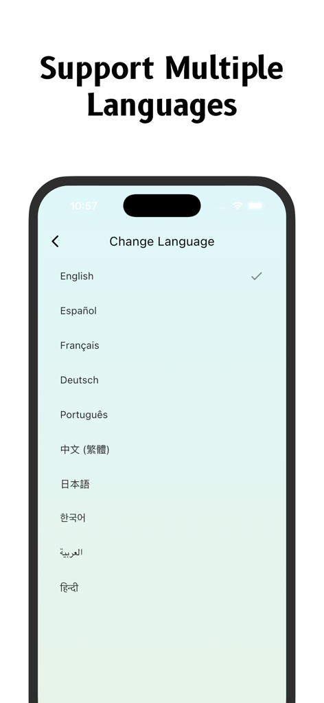 Antique Identifier - Antiqio - Language selection screen in the Antiqio Antique Identifier app showing support for multiple global languages.