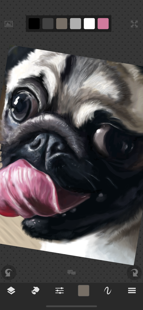 Sketch Club - A detailed digital painting of a pug created using the Sketch Club app interface