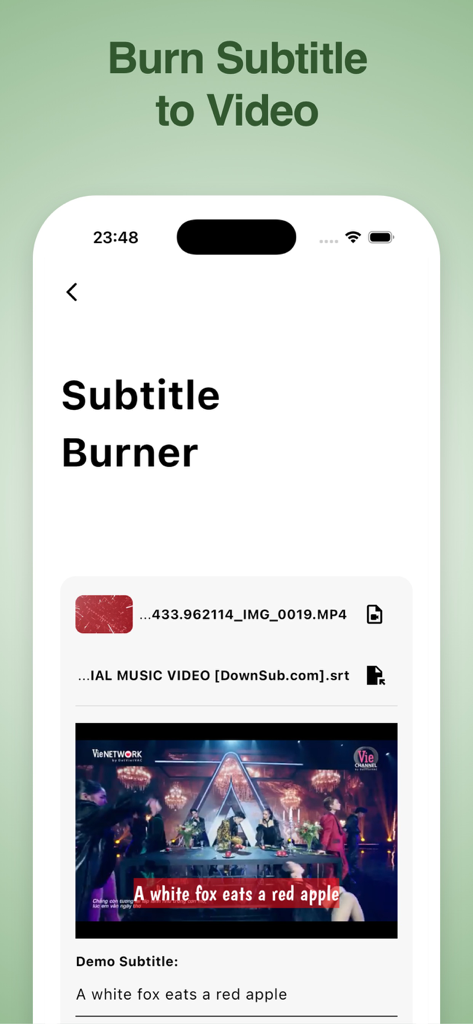 VidSub: Video Subtitle Creator - Interfaz de la aplicación VidSub que muestra la herramienta de incrustación de subtítulos con una vista previa de video y subtítulos