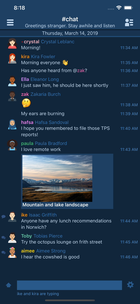 IRCCloud - IRCCloud mobile app interface showing a group chat with a dark theme and shared image.